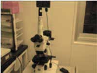 Optical Microscope